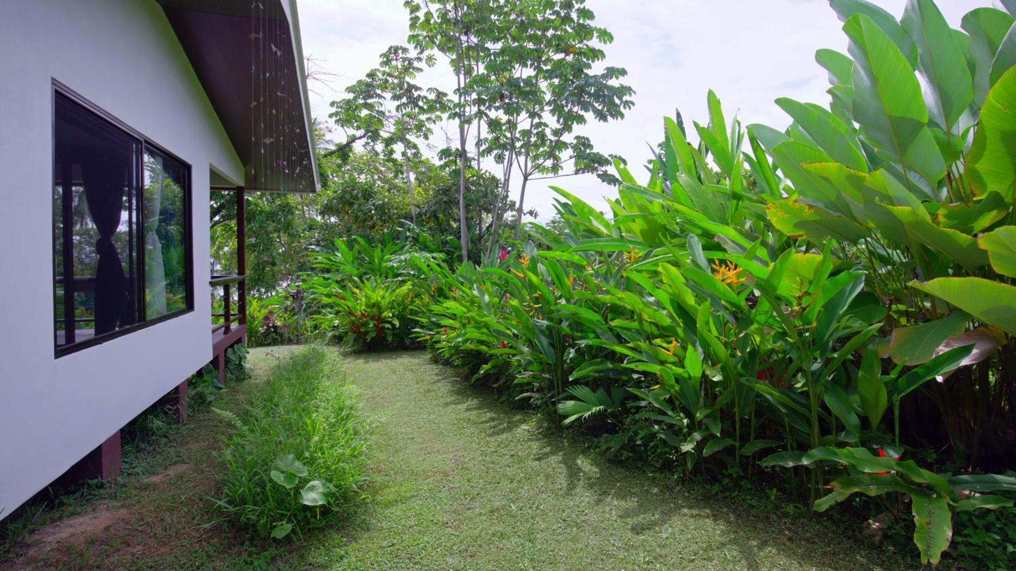 Villa Eden Corcovado San Pedrillo Esterno foto